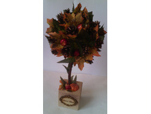 �������� "������� ����������"