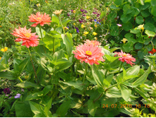 DSCN2159.JPG