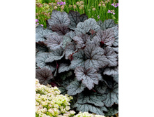 235,3���. ���������� ��������(�������� ���� �� 1 ��., ����������� ����� 1��.)���17.jpg