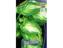 199���. ����� ��� �����(�������� ���� �� 1 ��., ����������� ����� 1��.).jpg