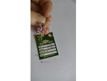 IMG 20161016 115943.jpg