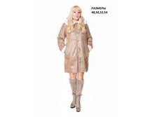 �������� ���