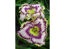 211,6���. �������� ���� ����� ����(�������� ���� �� 1 ��., ����������� ����� 1��.).jpg