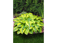 156,3���. ����� ������� ���(�������� ���� �� 1 ��., ����������� ����� 1��.)���17.jpg