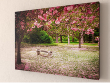 ������� �������� 1-1.jpg