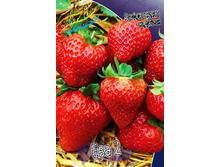 40,74���. ��������� ������� ��� 2(���������� ������ ������ ����������. � �������� 5 ��.).jpg