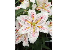 36,58���. ����� ������(��� 5 ��. ���������� �� 2��.)���16.jpg