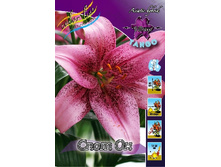 32,36���. ����� ���� ��(��� 5 ��. ���������� �� 2��.).jpg