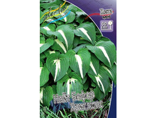 116,8���. ����� ���� ������ ��������(�������� ���� �� 1 ��., ����������� ����� 1��.).jpg