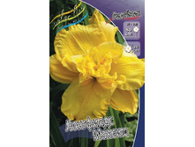 180���. �������� ��������� ������(�������� ���� �� 1 ��., ����������� ����� 1��.).jpg