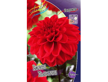 70,7���. �������� ����� �������(�������� ���� �� 1 ��., ����������� ����� 1��.).jpg