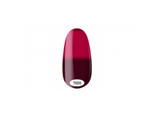 �655.png