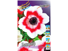 6,15���. ������� �������(���������� ������ ������ ���������� �� 10 ��.).jpg