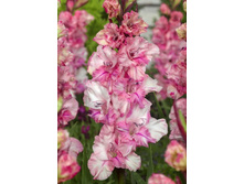 9,11���. ��������� ���������(���������� ������ ������ ���������� �� 8 ��.).jpg