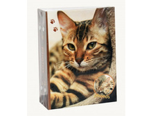 185���. ��� ��-00002433 V ���������� 200 47008 ������ ����.jpg