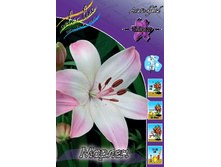 25,66���. ����� ������(��� 7 ��. ���������� �� 2��.).jpg