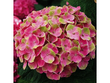 467���. ��������� �������������� �������� ������� ����.jpg