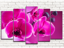 ������� ������� 5-1.jpg