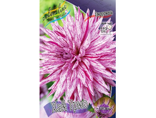 83,5���. �������� ��� ����(�������� ���� �� 1 ��., ����������� ����� 1��.).jpg