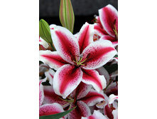 29,32���. ����� ����� ����(��� 5 ��. ���������� �� 2��.)���16.jpg