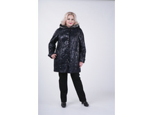 ������ ����� �����.JPG