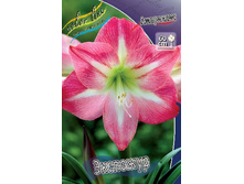 243,2���. ��������� ��������(�������� ���� �� 1 ��., ����������� ����� 1��.).jpg