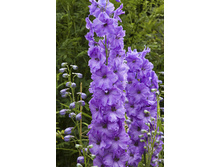 143,7���. ���������� ����� ����(�������� ���� �� 1 ��., ����������� ����� 1��.).jpg