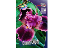 86,05���. ���� ���������� ���� ���(�������� ���� �� 2 ��., ����������� ����� 1��.).jpg