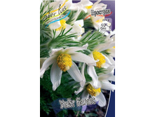 73,4���. �������� ���� �����(�������� ���� �� 2 ��., ����������� ����� 1��.).jpg