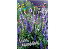 93,1���. �������� ����� ������ ���(�������� ���� �� 1 ��., ����������� ����� 1��.).jpg