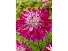 83,5���. �������� ������ ���(�������� ���� �� 1 ��., ����������� ����� 1��.)���16.jpg