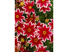 157,9���. ��������� ���� �����(�������� ���� �� 1 ��., ����������� ����� 1��.).jpg