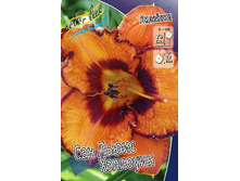 156,3���. �������� ��� ����� ��������(�������� ���� �� 1 ��., ����������� ����� 1��.).jpg