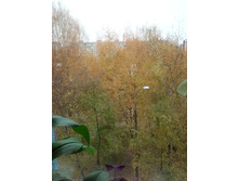 17 ������� 2016