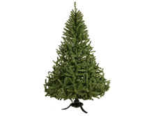 ��0912 ��� ������������� ������� ���. 1.2 � 1600,00.jpg