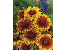 100,25���. ��������� ���������(�������� ���� �� 2 ��., ����������� ����� 1��.).jpg