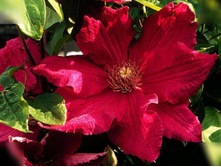 �������� ������-185.jpg