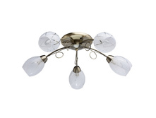 358011505 2600�.jpg