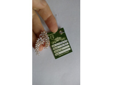 IMG 20161016 120112.jpg