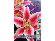 26,16���. ����� ���������(��� 7 ��. ���������� �� 2��.).jpg