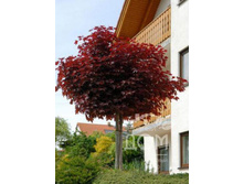 ���� ������������ ������� ������ ����� 130-1290�.jpg