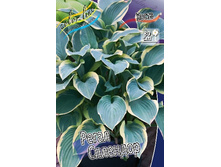 116,8���. ����� ����� ��������(�������� ���� �� 1 ��., ����������� ����� 1��.).jpg