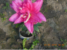 DSCN2141.JPG