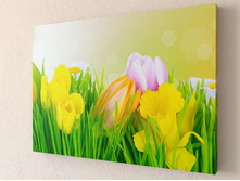 ��������� ����� 1-1.jpg