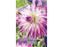 83,5���. �������� ������ �����(�������� ���� �� 1 ��., ����������� ����� 1��.).jpg