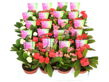 �������� ���� ���� 5�10. 84,84 ���.jpg