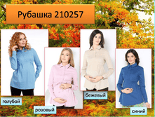 210257 �������