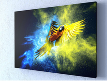 �������� ������� 1-1.jpg