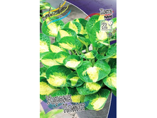 199���. ����� ������ �����(�������� ���� �� 1 ��., ����������� ����� 1��.).jpg