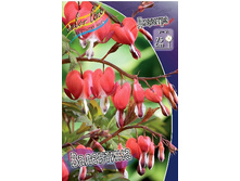 140,5���. �������� ���������(�������� ���� �� 1 ��., ����������� ����� 1��.).jpg